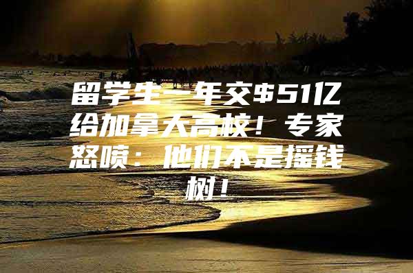 留學(xué)生一年交$51億給加拿大高校！專家怒噴：他們不是搖錢樹！