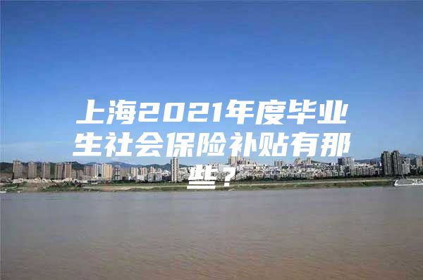 上海2021年度畢業(yè)生社會保險補貼有那些？