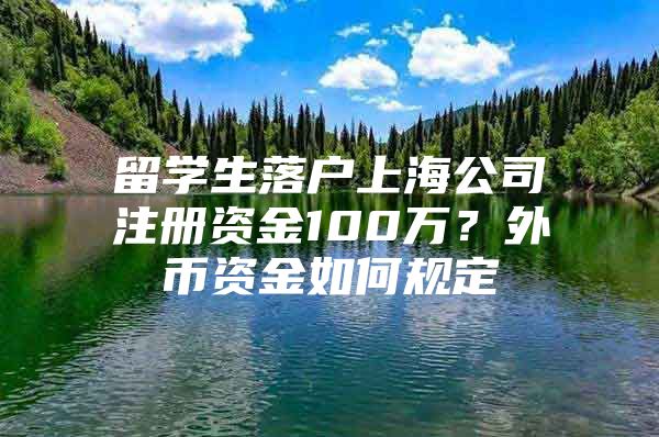 留學生落戶上海公司注冊資金100萬？外幣資金如何規(guī)定