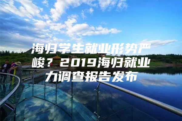 海歸學(xué)生就業(yè)形勢嚴(yán)峻？2019海歸就業(yè)力調(diào)查報告發(fā)布