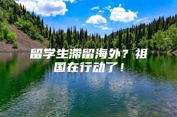 留學(xué)生滯留海外？祖國(guó)在行動(dòng)了！