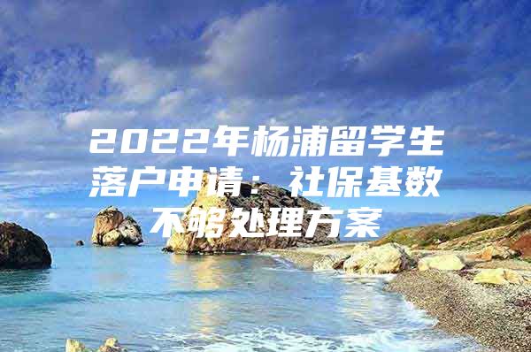 2022年楊浦留學生落戶申請：社?；鶖挡粔蛱幚矸桨?/></p>
								<p style=