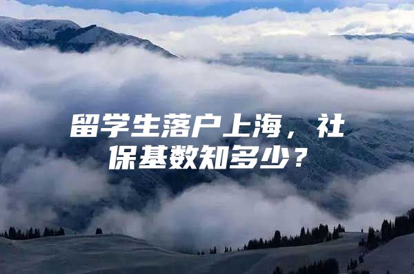 留學(xué)生落戶上海，社保基數(shù)知多少？