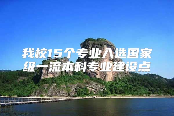 我校15個專業(yè)入選國家級一流本科專業(yè)建設點