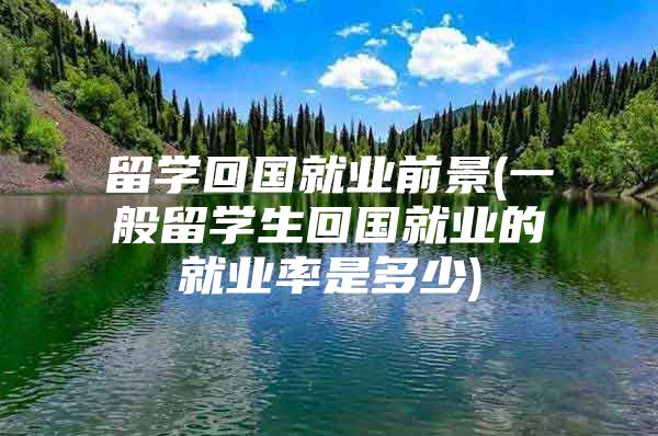 留學(xué)回國就業(yè)前景(一般留學(xué)生回國就業(yè)的就業(yè)率是多少)