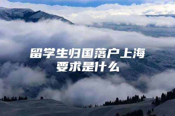 留學(xué)生歸國(guó)落戶(hù)上海要求是什么