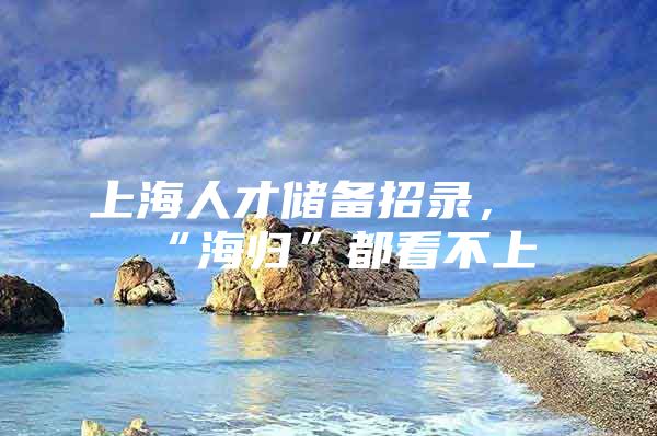 上海人才儲(chǔ)備招錄，“海歸”都看不上