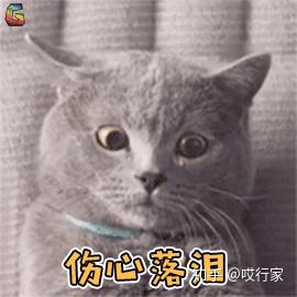 誰說留學(xué)生歸國求職很容易？出國讀研沒用了嗎？