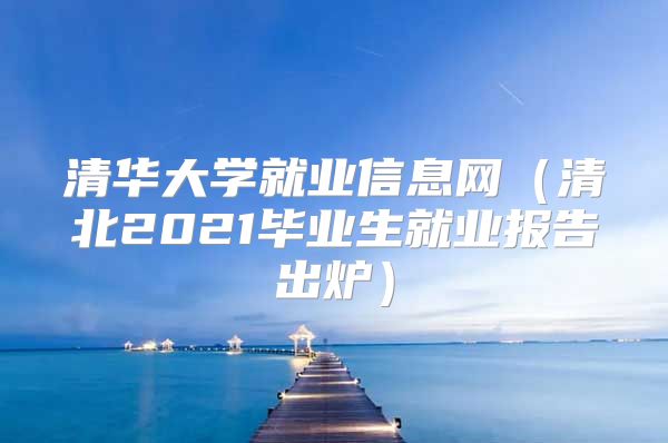 清華大學就業(yè)信息網(wǎng)（清北2021畢業(yè)生就業(yè)報告出爐）